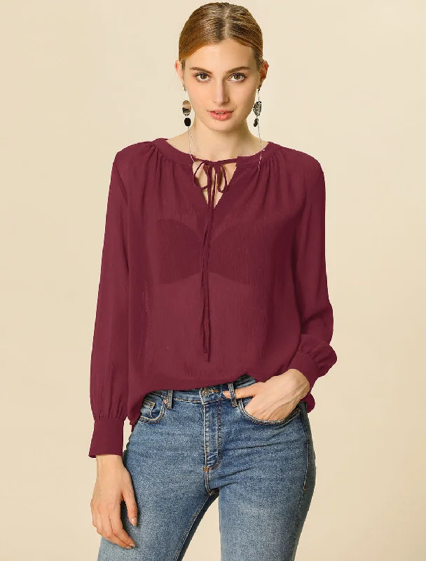 Semi Sheer Blouse Long Sleeve Bow Tie Neck Chiffon Top